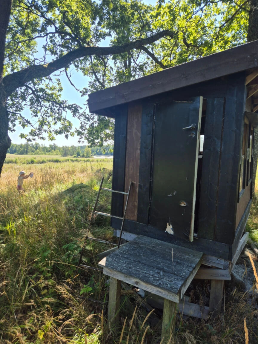 Koja